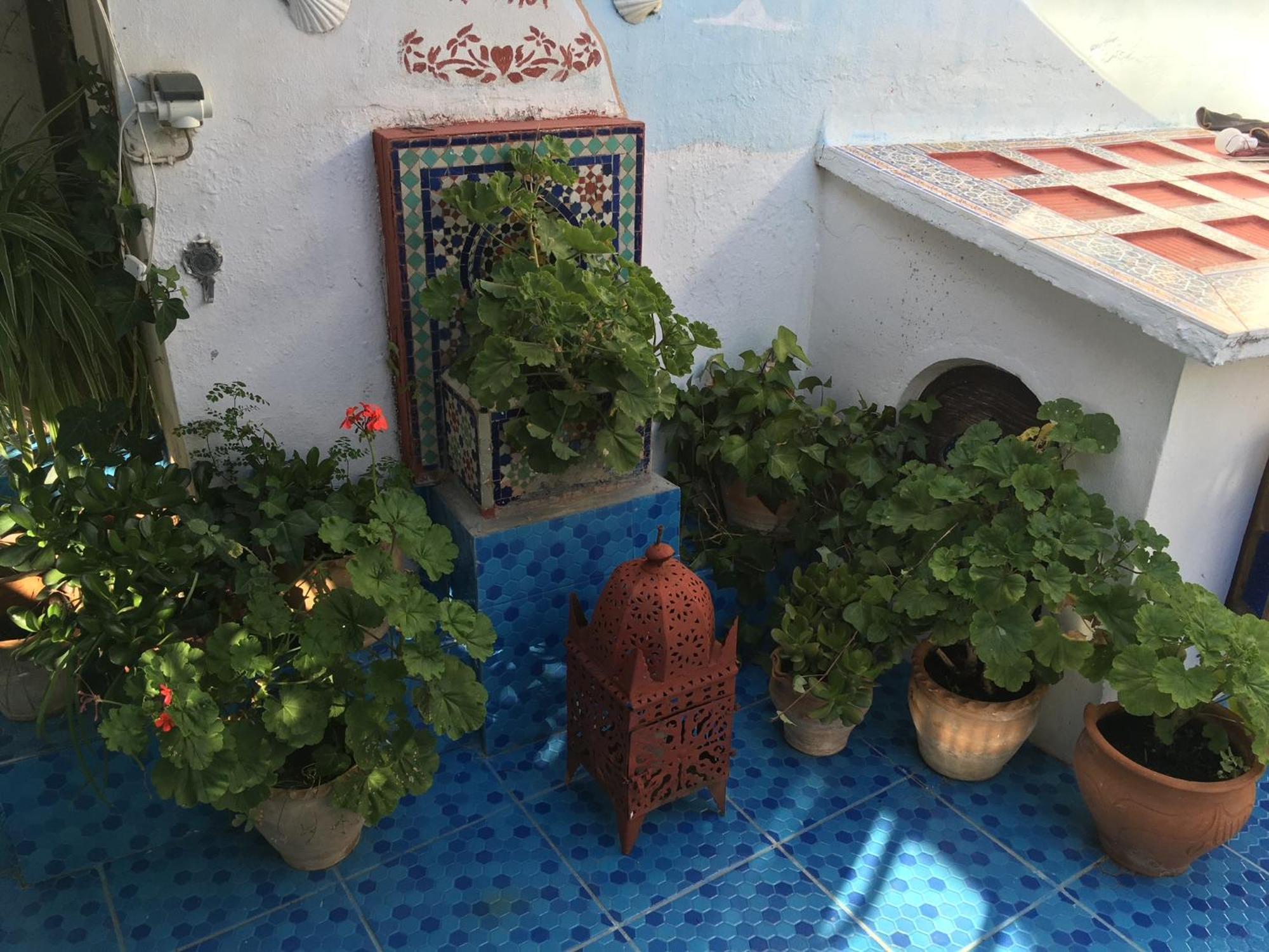 Hathor ,Casa Marroqui Con Dos Terrazas En La Medina Antigua , Ideal Parejas!! Wifi!! Asila Zewnętrze zdjęcie